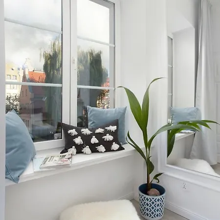 Elite Old Town Ogarna Premium