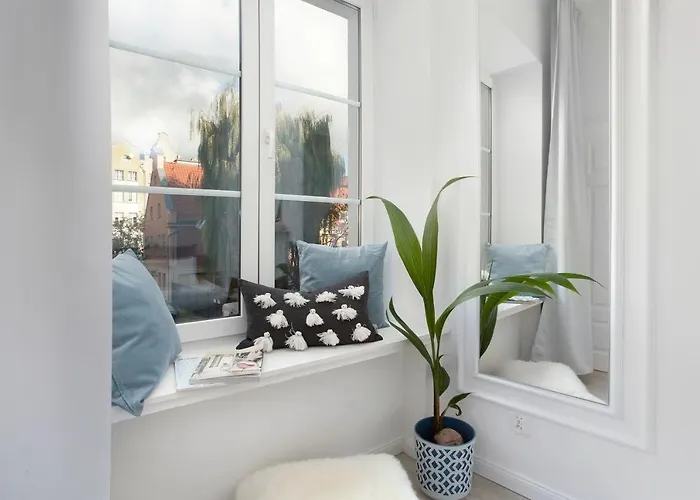 Elite Old Town Ogarna Premium